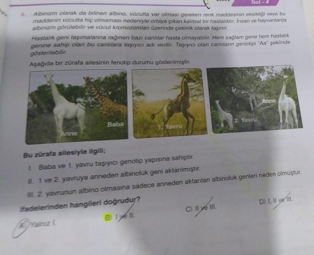 Test
Albinizm olarak da bilinen albino, vücutta var olması gereken renk maddesinin eksikliği veya bu
maddenin vücutta hiç olmaması nedeniyle ortaya çıkan kalıtsal bir hastalıktır. Insan ve hayvanlarda
albinizm görülebilir ve vücut kromozomları üzerinde çek