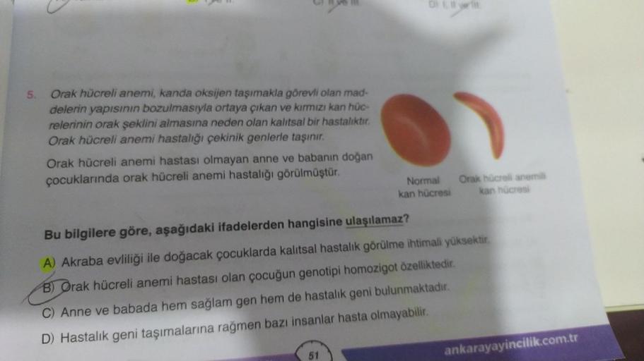 5.
Orak hücreli anemi, kanda oksijen taşımakla görevli olan mad-
delerin yapısının bozulmasıyla ortaya çıkan ve kırmızı kan hüc-
relerinin orak şeklini almasına neden olan kalıtsal bir hastalıktır.
Orak hücreli anemi hastalığı çekinik genlerle taşınır.
Ora