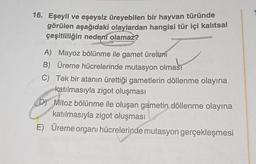 16. Eşeyli ve eşeysiz üreyebilen bir hayvan türünde
görülen aşağıdaki olaylardan hangisi tür içi kalıtsal
çeşitliliğin nedeni olamaz?
A) Mayoz bölünme ile gamet üretimi
B) Üreme hücrelerinde mutasyon olması
C)
Tek bir atanın ürettiği gametlerin döllenme olayına
katılmasıyla zigot oluşması
D) Mitoz bölünme ile oluşan gametin döllenme olayına
katılmasıyla zigot oluşması
E) Üreme organı hücrelerinde mutasyon gerçekleşmesi