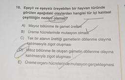 16. Eşeyli ve eşeysiz üreyebilen bir hayvan türünde
görülen aşağıdaki olaylardan hangisi tür içi kalıtsal
çeşitliliğin nedeni olamaz?
A) Mayoz bölünme ile gamet üretimi
B) Üreme hücrelerinde mutasyon olması
C)
Tek bir atanın ürettiği gametlerin döllenme olayına
katılmasıyla zigot oluşması
D) Mitoz bölünme ile oluşan gametin döllenme olayına
katılmasıyla zigot oluşması
E) Üreme organı hücrelerinde mutasyon gerçekleşmesi