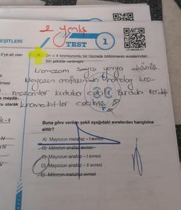 EŞİTLERİ
Il'ye ait olan
si
Imesi
5z - 11
IV
e TV
V
4.
Ju
i
e meyda-
u olarak kromatitler cetilmiş
ari
1
TEST
OMIO
2n = 4 kromozomlu bir hücrede bölünmenin evrelerinden
biri şekilde verilmiştir.
LP14BIOSB-027
kromozom sayu, yorga
Nicyozin arafazın do thonolog
mozomlar kutuba cali. Burada korda
A) Mayozun metafaz - I evrest
-B) Mitozun anafaz evresi
Mayozun anafaz - I evresi
D) Mayozun anafaz - Il evresi
E) Mitozun metafaz evresi
dusmus.
kro-
Buna göre verilen şekil aşağıdaki evrelerden hangisine
aittir?