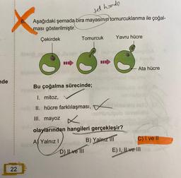 nde
22
6.
tel hoendo
Aşağıdaki şemada bira mayasının tomurcuklanma ile çoğal-
ması gösterilmiştir.
Çekirdek
Homo sy
elviesmi
livees
III. mayoz x
-pulo im
Tomurcuk
A) Yalnız I
exiemnellob
zamuurs
Bu çoğalma sürecinde;
Wisht El
I. mitoz,
rasmuteulo
olelişII. hücre farklılaşması, ninieblid ol
iesmlunulaulo
Jaulo ninhelbid
Yavru hücre
nabis bigstA
Naslo
D) ILve Ill
olaylarından hangileri gerçekleşir?
binebit lüp insy
pumol nintesyam s13:18
Ata hücre
B) Yalnız III
mof
C) I ve II
muy
ine
E) I, II ve III s