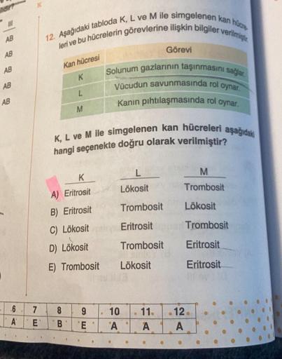 AB
AB
AB
AB
AB
6
A₁
7
E
verilmişt
12. Aşağıdaki tabloda K, L ve M ile simgelenen kan hücre
leri ve bu hücrelerin görevlerine ilişkin bilgiler v
Kan hücresi
K
L
M
8
B
K
A) Eritrosit
B) Eritrosit
C) Lökosit
D) Lökosit
E) Trombosit
K, L ve M ile simgelenen ka