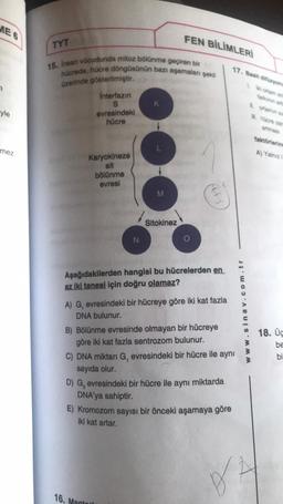 ME 6
yle
mez.
TYT
15. Insan vücudunda mitoz bölünme geçiren bir
hücrede, hücre döngüsünün bazı aşamaları şekil
üzerinde gösterilmiştir.
Interfazın
S
evresindeki
hücre
Karyokineze
alt
bölünme
evresi
N
M
FEN BİLİMLERİ
Sitokinez
16. Mant
O
Aşağıdakilerden hangisi bu hücrelerden en
az iki tanesi için doğru olamaz?
A) G, evresindeki bir hücreye göre iki kat fazla
DNA bulunur.
B) Bölünme evresinde olmayan bir hücreye
göre iki kat fazla sentrozom bulunur.
C) DNA miktarı G, evresindeki bir hücre ile aynı
sayıda olur.
D) G₂ evresindeki bir hücre ile aynı miktarda
DNA'ya sahiptir.
E) Kromozom sayısı bir önceki aşamaya göre
iki kat artar.
17. Besit difüzyonu
www.sinav.com.tr
DA
farkinin artr
hücre zam
faktörlering
A) Yalnız
18. Üç
be
bi