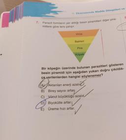 7.
» Ekosistemde Madde Döngüleri ve
Parazit formların yer aldığı besin piramitleri diğer pira-
mitlere göre ters çalışır.
Virüs
Bakteri
Pire
Köpek
Bir köpeğin üzerinde bulunan parazitleri gösteren
besin piramidi için aşağıdan yukarı doğru çıkıldık-
ça verilenlerden hangisi söylenemez?
AYAKE
AY Aktarılan enerji azalır
B) Birey sayısı artar
C) Vücut büyüklüğü azalır.
Biyokütle artar.)
Üreme hızı artar.
9