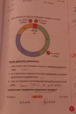 2n
P
m 2n
D) II ve III
2. Hücre döngüsü ile ilgili bir mekanizma aşağıda verilmiştir.
M kontrol
G₂ kontrol
noktası
noktası
S
Dur
A) Yalnız I
Dur
Mitotik
faz
E) I, II ve III
D) II ve III
G₁
una
Şekilde gösterilen mekanizma;
1. DNA hasarı olan hücrelerin sayısının artmasının engellen-
mesi,
B) I ve II
C) I ve III
II. bir organizmayı oluşturan hücrelerin gelişigüzel ve rastgele
bölünmesinin engellenmesi,
G₁ kontrol
noktası
III. doku ve organların temel fizyolojik süreçlerinin kontrol edil-
mesi
Gouli gd, preter senten:
hedeflerinden hangilerine ulaşılmasını amaçlar?
E) I, II ve III
Prf Yayınları
C) I ve III
4.
37
g