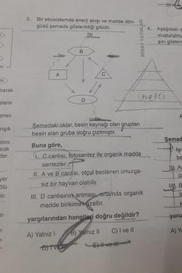 →
CI
SI
narak
slenir
enen
rışık
etimi
arak
der.
yer
Blü
hir.
a-
r.
1-
2.
Bir ekosistemde enerji akışı ve madde dön-
güsü şemada gösterildiği gibidir.
Isi
A
Isı
MİRAY YAYINLARI
Semadaki oklar, besin kaynağı olan gruptan
besin alan gruba doğru çizilmiştir.
Buna göre,
1. C canlısı, fotosentez ile organik madde
sentezler.
II. A ve B canlısı, otçul beslenen omurga-
Sız bir hayvan olabilir.
B) Yalnız II C) I ve II
E) Il ve Il
III. D canlısının artması, ortamda organik
madde birikimini azaltır.
yargılarından hangileri doğru değildir?
A) Yalnız I
DIIV
reket
D) ve
4. Aşağıdaki g
oluşturulmu
şını göstern
A
Şemad
Işı
be
IID A
da
11 B
la
k
yoru
A) Ya