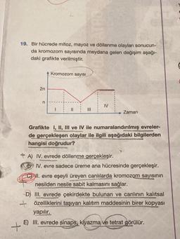 19. Bir hücrede mitoz, mayoz ve döllenme olayları sonucun-
da kromozom sayısında meydana gelen değişim aşağı-
daki grafikte verilmiştir.
+
2n
n
Kromozom sayısı
|||
IV
Zaman
Grafikte I, II, III ve IV ile numaralandırılmış evreler-
T
de gerçekleşen olaylar ile ilgili aşağıdaki bilgilerden
hangisi doğrudur?
A) IV. evrede döllenme gerçekleşir.
IV. evre sadece üreme ana hücresinde gerçekleşir.
II. evre eşeyli üreyen canlılarda kromozom sayısının
nesilden nesile sabit kalmasını sağlar.
D) III. evrede çekirdekte bulunan ve canlının kalıtsal
özelliklerini taşıyan kalıtım maddesinin birer kopyası
yapılır.
E) III. evrede sinaps, kiyazma ve tetrat görülür.