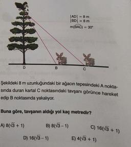 D
B
A) 8(√3 + 1)
|AD| = 8 m
|BD| = 8 m
m(BAC)
Şekildeki 8 m uzunluğundaki bir ağacın tepesindeki A nokta-
sında duran kartal C noktasındaki tavşanı görünce hareket
edip B noktasında yakalıyor.
B) 8(√3-1)
D) 16(√3-1)
= 30°
Buna göre, tavşanın aldığı yol kaç metredir?
C
C) 16(√3+1)
E) 4(√3+1)