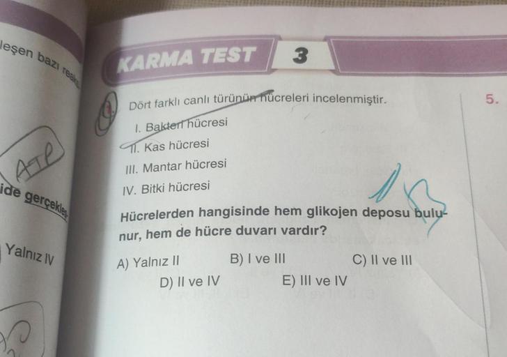 leşen bazı
ATP
ide gerçekle
Yalnız IV
s
KARMA TEST
Dört farklı canlı türünün hücreleri incelenmiştir.
1. Bakteri hücresi
11. Kas hücresi
III. Mantar hücresi
IV. Bitki hücresi
0
Hücrelerden hangisinde hem glikojen deposu bulu-
nur, hem de hücre duvarı vardı