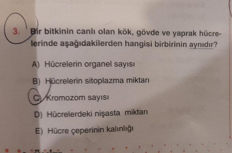 3. Bir bitkinin canlı olan kök, gövde ve yaprak hücre-
lerinde aşağıdakilerden hangisi birbirinin aynıdır?
A) Hücrelerin organel sayısı
B) Hücrelerin sitoplazma miktarı
Kromozom sayısı
D) Hücrelerdeki nişasta miktarı
E) Hücre çeperinin kalınlığı