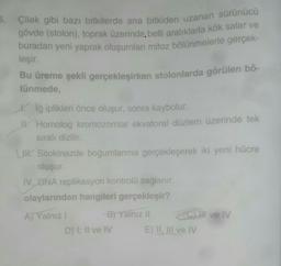 5. Çilek gibi bazı bitkilerde ana bitkiden uzanan sürünücü
gövde (stolon), toprak üzerinde, belli aralıklarla kök salar ve
buradan yeni yaprak oluşumları mitoz bölünmelerle gerçek-
leşir.
Bu üreme şekli gerçekleşirken stolonlarda görülen bö-
lünmede,
İğ iplikleri önce oluşur, sonra kaybolur.
Homolog kromozomlar ekvatoral düzlem üzerinde tek
sıralı dizilir.
UH. Sitokinezde boğumlanma gerçekleşerek iki yeni hücre
oluşur.
IV. DNA replikasyon kontrolü sağlanır.
olaylarından hangileri gerçekleşir?
A) Yalnız I
B) Yalnız II
D) I, II ve IV
Cill ve IV
E) II, III ve IV