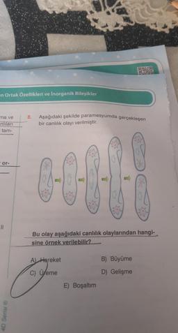 n Ortak Özellikleri ve İnorganik Bileşikler
ma ve
nlıları
= tam-
'or-
||
4D Serisi Ⓡ
8.
Aşağıdaki şekilde paramesyumda gerçekleşen
bir canlılık olayı verilmiştir.
T
A) Hareket
C) Üreme
M
Bu olay aşağıdaki canlılık olaylarından hangi-
sine örnek verilebilir?
E) Boşaltım
040
B) Büyüme
D) Gelişme