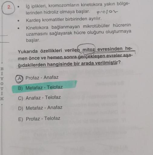 BITOEHM
Y
K
2.
İğ iplikleri, kromozomların kinetokora yakın bölge-
lerinden hidroliz olmaya başlar. profor
Kardeş kromatitler birbirinden ayrılır.
Kinetokora bağlanmayan mikrotübüller hücrenin
uzamasını sağlayarak hücre oluğunu oluşturmaya
başlar.
Yukarıda