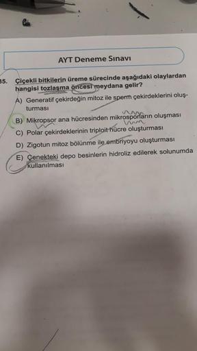 AYT Deneme Sınavı
35. Çiçekli bitkilerin üreme sürecinde aşağıdaki olaylardan
hangisi tozlaşma öncesi meydana gelir?
A) Generatif çekirdeğin mitoz ile sperm çekirdeklerini oluş-
turması
um
B) Mikropsor ana hücresinden mikrosporların oluşması
C) Polar çekir