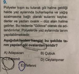 9.
Polyeler kışın su tutarak göl haline geldiği
halde yaz aylarında buharlaşma ve yağış
azalmasına bağlı olarak sularını kaybe-
derler ve yazları ovalık - düz alan haline
gelirler. Bu nedenle "Gölova" olarak da ad-
landırılırlar. Polyelerde yaz aylarında tarım
yapılabilmektedir.
Aşağıdakilerden hangisi bu şekilde ta-
rım yapılan göl ovalardan biridir?
A) Adapazarı
C) Edremit
E) Tefenni
B) Çubuk
D) Ceylanpınar