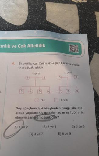 inlik ve Çok Allellilik
I
4.
Bir evcil hayvan türüne ait iki grup bireyin soy ağa-
ci aşağıdaki gibidir.
1. grup
3
1
4
A) 1 ve 2
5
2
Dişi
D) 3 ve 7
6
6
B) 3 ve 4
7
II. grup
8
Soy ağaçlarındaki bireylerden hangi ikisi ara-
sında yapılacak çaprazlamadan saf 