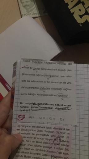 TORK LIRAS
İskeleti bütünüyle kıkırdaktan oluştuğu için
elastik bir yapıya sahip olan balik asalağı, çöp-
11
çü olmasına rağmen dilediği zaman canlı balık-
larla da avlanabilen bir tür. Avlanırken de yine
daha zararsız bir görünüme büründüğü düğüm-
IV
lenm