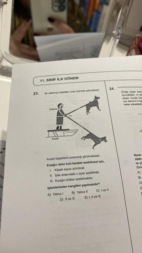 aras
tes
ar
k
23.
11. SİNİF İLK DÖNEM
Bir eskimoyu köpekler kızak üzerinde çekmektedir.
Eskimo
Kızak
a
Ancak köpeklerin zorlandığı görülmektedir.
Kızağın daha hızlı hareket edebilmesi için,
1. Köpek sayısı artırılmalı
II. İpler arasındaki a açısı azaltılma