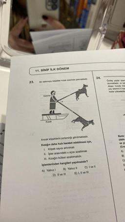 aras
tes
ar
k
23.
11. SİNİF İLK DÖNEM
Bir eskimoyu köpekler kızak üzerinde çekmektedir.
Eskimo
Kızak
a
Ancak köpeklerin zorlandığı görülmektedir.
Kızağın daha hızlı hareket edebilmesi için,
1. Köpek sayısı artırılmalı
II. İpler arasındaki a açısı azaltılmalı
III. Kızağın kütlesi azaltılmalıdır.
işlemlerinden hangileri yapılmalıdır?
A) Yalnız I
B) Yalnız II
D) II ve III
C) I ve II
E) I, II ve III
24.
Özdeş yaylar üzeri
durmaktadır. m küm
düşey hızıyla fırla
yay sitemini X kad
kadar yükselebiliy
Buna
cisim
ve çu
(Ene
A)
B)
C)
D
E