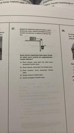 ve burayı başkent yaptı.
asınçlı
anır.
37.
.
Gazi,
A)
4m
çoğaltı
sanın hayatta kaybedeceği en
dir.
Şekildeki 2m kütleli kova içinde 3m kütleli su vardır.
Sürtünmesiz sistem serbest bırakıldığında kovanın
altındaki tipa çıkarılıyor ve delikten su akmaya baş-
liyor.
3m
2m
Suyun tamamı boşalıncaya kadar geçen sürede
4m kütleli cismin hareketi için aşağıdakilerden
hangisi doğrudur?
A) Önce hızlanan, sonra sabit hızlı, daha sonra
yavaşlayan hareket yapar.
B) Önce hızlanan, sonra sabit hızlı hareket yapar.
C) Önce hızlanan, sonra yavaşlayan hareket
yapar.
D) Sürekli hızlanan hareket yapar.
E) Sürekli yavaşlayan hareket yapar.
rie
38.
İki karde
tadır. Kü
yönlerde
Bun
1.
I
1
ya
A