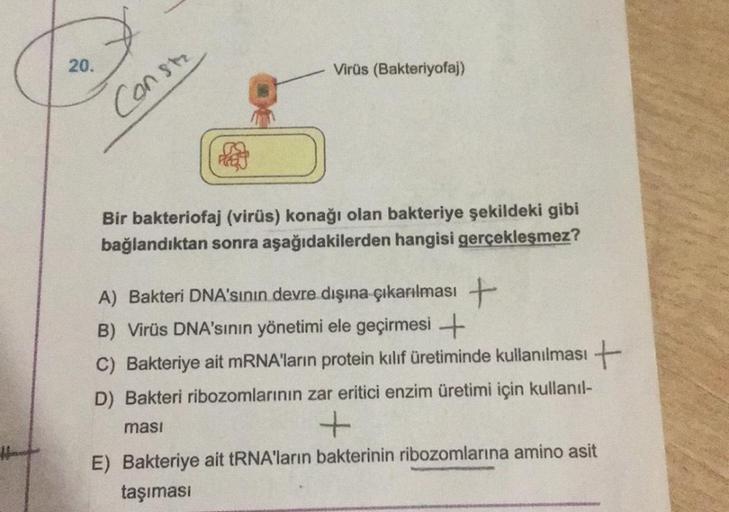 20.
Constr
Virüs (Bakteriyofaj)
Bir bakteriofaj (virüs) konağı olan bakteriye şekildeki gibi
bağlandıktan sonra aşağıdakilerden hangisi gerçekleşmez?
A) Bakteri DNA'sının devre dışına çıkarılması +
B) Virüs DNA'sının yönetimi ele geçirmesi +
C) Bakteriye a