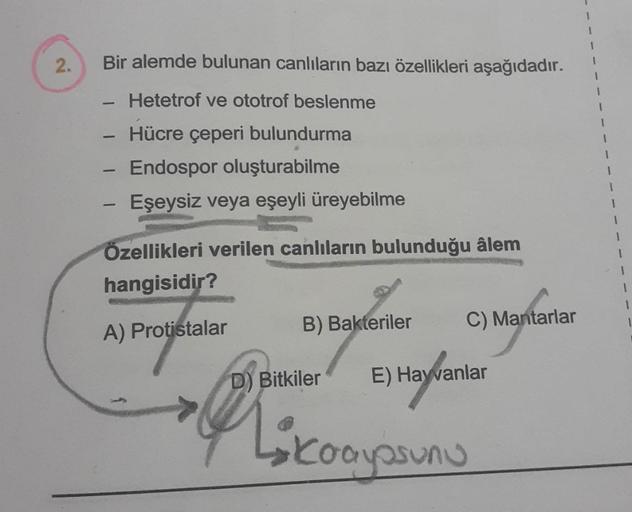 2.
Bir alemde bulunan canlıların bazı özellikleri aşağıdadır.
Hetetrof ve ototrof beslenme
Hücre çeperi bulundurma
-
-
Endospor oluşturabilme
Eşeysiz veya eşeyli üreyebilme
Özellikleri verilen canlıların bulunduğu âlem
hangisidir?
A) Protistalar
B) Bakteri