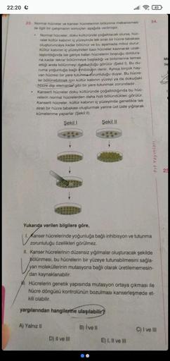 22:20 €
23. Normal hücreler ve kanser hücrelerinin bölünme mekanizması
ile ilgili bir çalışmanın sonuçları aşağıda verilmiştir.
Normal hücreler, doku kültüründe çoğaltılacak olursa, húc-
reler kültür kabının iç yüzeyinde tek sıralı bir hücre tabakası
oluşt