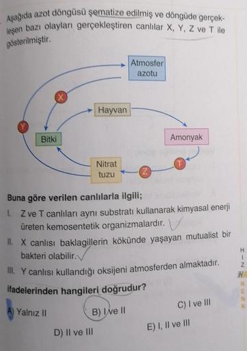 Aşağıda azot döngüsü şematize edilmiş ve döngüde gerçek-
leşen bazı olayları gerçekleştiren canlılar X, Y, Z ve T ile
gösterilmiştir.
XX
Bitki
A) Yalnız II
Hayvan
Nitrat
tuzu
D) II ve III
B) Ive II
Atmosfer
azotu
Z
Buna göre verilen canlılarla ilgili;
1. Z