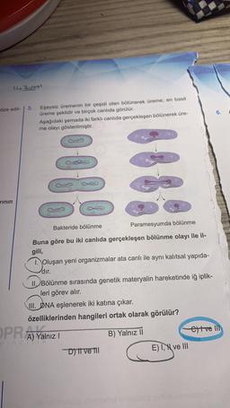 14 Subay
atize edil-
rının
3.
Eşeysiz üremenin bir çeşidi olan bölünerek üreme, en basit
üreme şeklidir ve birçok canlıda görülür.
Aşağıdaki şemada iki farklı canlıda gerçekleşen bölünerek üre-
me olayı gösterilmiştir.
(3)
Paramesyumda bölünme
Buna göre bu iki canlıda gerçekleşen bölünme olayı ile il-
gili,
1. Oluşan yeni organizmalar ata canlı ile aynı kalıtsal yapıda-
dır.
Bakteride bölünme
II. Bölünme sırasında genetik materyalin hareketinde iğ iplik-
leri görev alır.
III. DNA eşlenerek iki katına çıkar.
özelliklerinden hangileri ortak olarak görülür?
B) Yalnız II
OPRA) Yalnız
I
vinci
Dit ve til
E) I, ve III
6.
ettve Ill