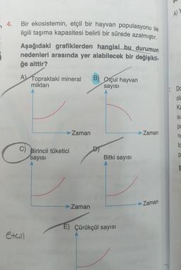 4.
Bir ekosistemin, etçil bir hayvan populasyonu ile
ilgili taşıma kapasitesi belirli bir sürede azalmıştır.
Aşağıdaki grafiklerden hangisi bu durumun
nedenleri arasında yer alabilecek bir değişikli-
ğe aittir?
A Topraktaki mineral B) Otçul hayvan
miktarı
sayısı
C) Birincil tüketici
sayısı
etall
Zaman
Zaman
Bitki sayısı
624
E) Çürükçül sayısı
Zaman
Zaman
A) Y
1. Dc
ola
Ka
SII
po
n
to
p
E