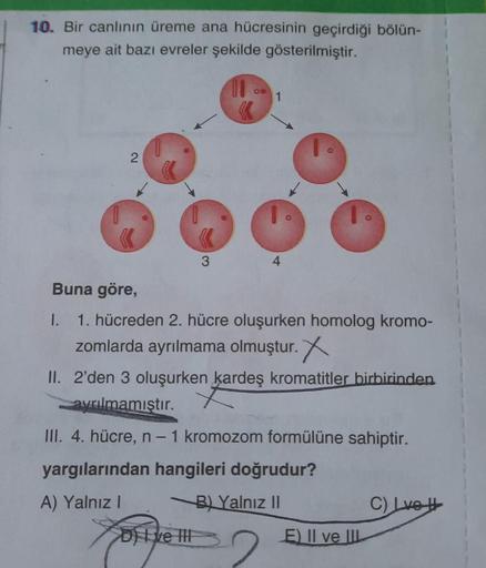 10. Bir canlının üreme ana hücresinin geçirdiği bölün-
meye ait bazı evreler şekilde gösterilmiştir.
2
3
1
Buna göre,
1. 1. hücreden 2. hücre oluşurken homolog kromo-
zomlarda ayrılmama olmuştur. X
II. 2'den 3 oluşurken kardeş kromatitler birbirinden.
ayrı