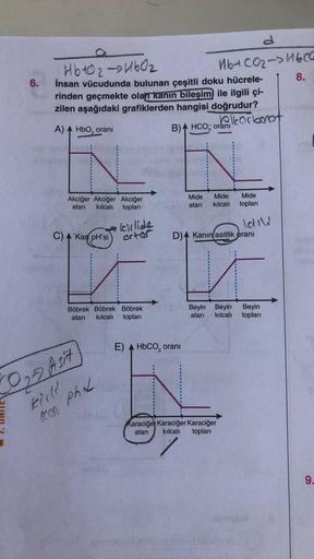 6.
Mb40₂-4b0₂
İnsan vücudunda bulunan çeşitli doku hücrele-
rinden geçmekte olan kanın bileşim ile ilgili çi-
zilen aşağıdaki grafiklerden hangisi doğrudur?
A) A HbO₂ oranı
belkarbanot
B) HCO oranı
Akciğer Akciğer Akciğer
atari kılcalı topları
C) A Kan pH'