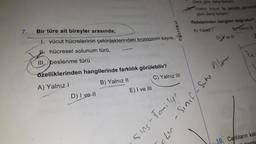 7.
Bir türe ait bireyler arasında;
1. vücut hücrelerinin çekirdeklerindeki kromozom sayısı,
hücresel solunum türü,
III. beslenme türü
D) I ve II
özelliklerinden hangilerinde farklılık görülebilir?
A) Yalnız I
B) Yalnız II
C) Yalnız III
Sins-Familyr
E) I ve III
- Sinif - Sung
~173
Testokul
lanın koyun ile genetik benzer
göre daha fazladır
ifadelerinden hangileri doğrudur?
A) Yalaz
ByTalnız III
D)'ve III
10. Canlıların kal