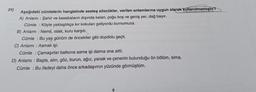 29)
Aşağıdaki cümlelerin hangisinde sesteş sözcükler, verilen anlamlarına uygun olarak kullanılmamıştır?
A) Anlamı: Şehir ve kasabaların dışında kalan, çoğu boş ve geniş yer, dağ bayır.
Cümle : Köyle yaklaştıkça kır kokuları geliyordu burnumuza.
B) Anlamı Nemli, ıslak, kuru karşıtı.
Cümle : Bu yaş günüm de öncekiler gibi dopdolu geçti.
C) Anlamı : Asmak işi.
Cümle Çamaşırlar balkona asma işi daima ona aitti.
D) Anlamı: Başta, alın, göz, burun, ağız, yanak ve çenenin bulunduğu ön bölüm, sima.
Cümle : Bu ifadeyi daha önce arkadaşımın yüzünde görmüştüm.
9