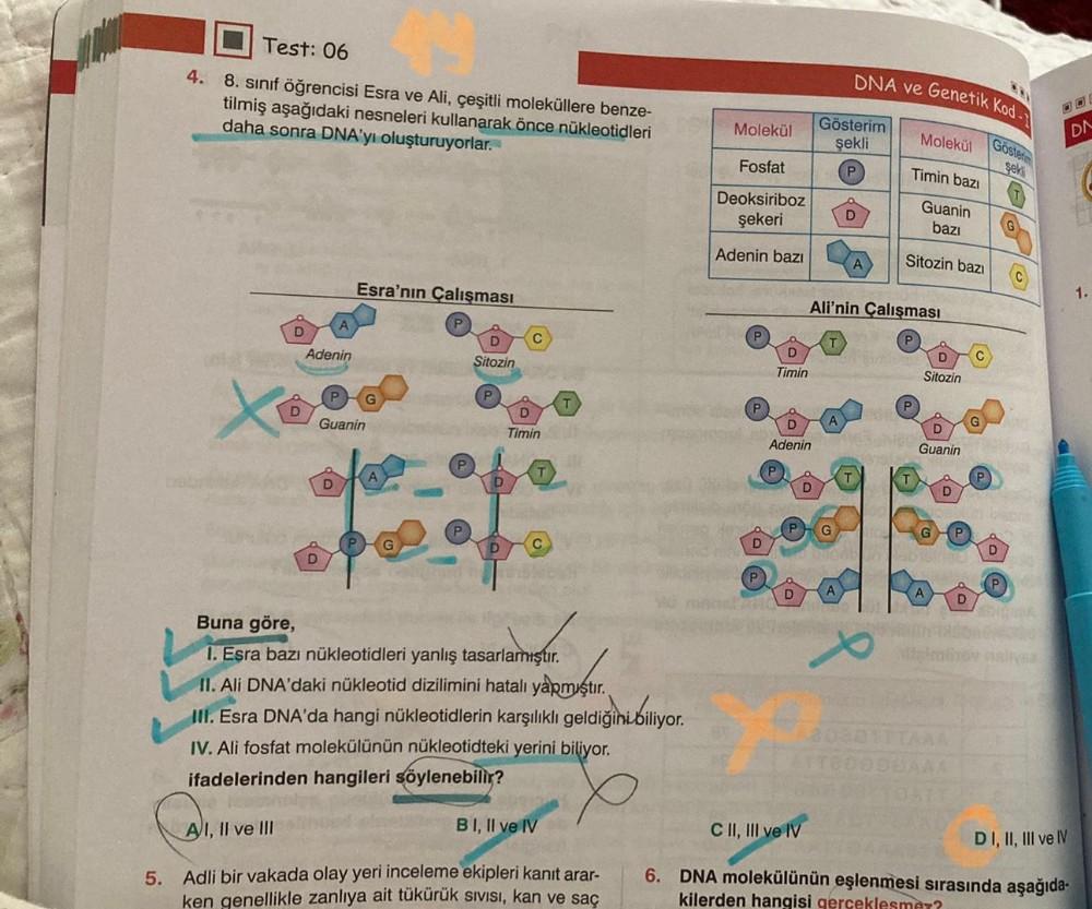 Test: 06
4. 8. sınıf öğrencisi Esra ve Ali, çeşitli moleküllere benze-
tilmiş aşağıdaki nesneleri kullanarak önce nükleotidleri
daha sonra DNA'yı oluşturuyorlar.
D
D
A
Adenin
P
Esra'nın Çalışması
G
Guanin
D
Sitozin
P
C
Timin
T
Buna göre,
1. Esra bazı nükle