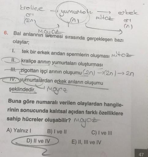 krelice
(20)
Mayoz
6. Bal arılarının üremesi sırasında gerçekleşen bazı
olaylar;
tek bir erkek arıdan spermlerin oluşması Mitoz
II. kraliçe arının yumurtaları oluşturması
III. zigottan işçi arının oluşumu (2n) → (2n)-27
TV. yumurtalardan erkek arıların olu