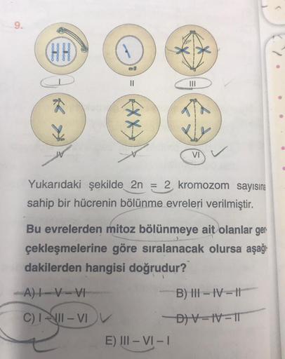 (HH)
||
(XX)
C) III-VIV
Yukarıdaki şekilde 2n = 2 kromozom sayısına
sahip bir hücrenin bölünme evreleri verilmiştir.
VI
Bu evrelerden mitoz bölünmeye ait olanlar ger
çekleşmelerine göre sıralanacak olursa aşağı
dakilerden hangisi doğrudur?
A)-V-VI
E) III-V