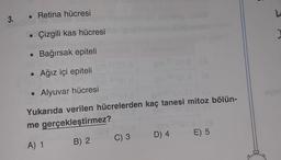 3.
• Retina hücresi
Vun
• Çizgili kas hücresi
Bağırsak epiteli
• Ağız içi epiteli
Alyuvar hücresi
●
STOLE
Yukarıda verilen hücrelerden kaç tanesi mitoz bölün-
me gerçekleştirmez?
A) 1
B) 2
C) 3
(8
D) 4
E) 5
Į