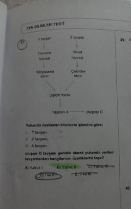 37.
FEN BİLİMLERİ TESTİ
Y tavşan
Yumurta
hücresi
Sitoplazma
alınır.
Diploit hücre
Taşıyıcı A
A) Yalnız I
Z tavşan
Vücut
hücresi
D) I ve II
Çekirdek
alınır.
Yukarıda özetlenen klonlama işlemine göre;
I. Y tavşanı,
II. Z tavşanı,
III. A tavşanı,
oluşan D tavşanı genetik olarak yukarıda verilen
tavşanlardan hangilerinin özelliklerini taşır?
C)Yalnız H
(Kopya) D
B) Yalnız II
E) II ve III
39. A
40.