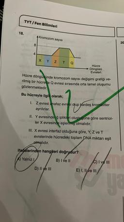 18.
TYT/Fen Bilimleri
8
4
Kromozom sayısı
X Y Z T
Hücre döngüsünde kromozom sayısı değişimi grafiği ve-
rilmiş bir hücrede Q evresi sırasında orta lamel oluşumu
gözlenmektedir.
BOYAL
Bu hücreyle ilgili olarak;
Hücre
Döngüsü
Evreleri
Lub ud si
I. Z evresi anafaz evresi olup kardeş kromatitler
ayrılırlar.
II. Y evresinde iğ iplikleri oluştuğuna göre sentriol-
ler X evresinde eşlenmiş olmalıdır.
III. X evresi interfaz olduğuna göre, Y, Z ve T
evrelerinde hücredeki toplam DNA miktarı eşit
olmalıdır.
ifadelerinden hangileri doğrudur?
Yalnız I
B) I ve II
D) II ve III
20
C) I ve III
E) I, II ve III
enfrüche
ya