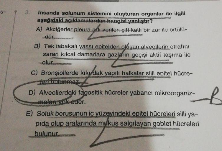 S-
insanda solunum sistemini oluşturan organlar ile ilgili
aşağıdaki açıklamalardan hangisi yanlıştır?
A) Akciğerler pleura adı verilen çift katlı bir zar ile örtülü-
dür.
B) Tek tabakalı yassı epitelden oluşan alveollerin etrafını
saran kılcal damarlara g