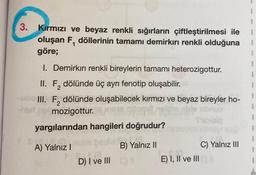 3.
Kırmızı ve beyaz renkli sığırların çiftleştirilmesi ile
oluşan F, döllerinin tamamı demirkırı renkli olduğuna
göre;
E
I. Demirkırı renkli bireylerin tamamı heterozigottur.
II. F, dölünde üç ayrı fenotip oluşabilir.
2
III. F₂ dölünde oluşabilecek kırmızı ve beyaz bireyler ho-
2
-herl nel mozigottur.
yargılarından hangileri doğrudur?
sante
A) Yalnız I
B) Yalnız II
D) I ve III C3
E) I, II ve III
C) Yalnız III
I
1
I
I
I
I
1
I