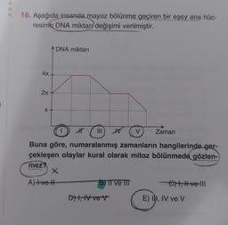 ENK
16. Aşağıda insanda mayoz bölünme geçiren bir eşey ana hüc-
resinin DNA miktarı değişimi verilmiştir.
4x
2x
X
DNA miktarı
noilles
V
Buna göre, numaralanmış zamanların hangilerinde ger-
çekleşen olaylar kural olarak mitoz bölünmede gözlen-
mez?
A)+ve H
X
H
B) II ve III
D), IV ve v
Zaman
e) t, Hve-III
E) II, IV ve V