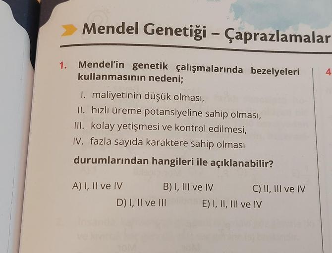 1.
Mendel Genetiği - Çaprazlamalar
Mendel'in genetik çalışmalarında bezelyeleri
kullanmasının nedeni;
I. maliyetinin düşük olması,
II. hızlı üreme potansiyeline sahip olması,
III. kolay yetişmesi ve kontrol edilmesi,
IV. fazla sayıda karaktere sahip olması