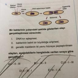 Bakteri
DNA'SI
Hücre
duvarı
Hücre
zari
DNA eşlenmeye başlar.
A-11-111
Bir bakterinin yukarıdaki şekilde gösterilen olayı
gerçekleştirmesi sürecinde;
Bölünme
I. DNA'nın eşleşmesi,
II. bakterinin belirli bir büyüklüğe erişmesi,
III. genetik maddenin iki yavru hücreye paylaştırılması
D) M-IM-I
olayları, aşağıdakilerin hangisinde verilen sıraya göre
gerçekleşir?
Eşlenmiş
DNA
B)1-11-11
E) III-1 -11
C) 1 - 1 - III