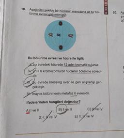 18. Aşağıdaki şekilde bir hücrenin mayozuna ait bir bö-
lünme evresi gösterilmiştir
**
XX
Bu bölünme evresi ve hücre ile ilgili;
bu evredeki hücrede 12 adet kromatit bulunur.
26 = 6 kromozomlu bir hücrenin bölünme süreci-
dir.
bu evrede krossing over ile gen alışverişi ger-
çekleşir.
IV. mayoz bölünmenin metafaz Il evresidir.
ifadelerinden hangileri doğrudur?
A) I ve II
B) II ve III
D) I, ve IV
X
C) ve IV
E) II, ve IV
ROBERT
20. Aş
Şır
gä
E