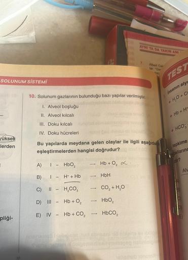 SOLUNUM SİSTEMİ
yüksek
lerden
pliği-
10. Solunum gazlarının bulunduğu bazı yapılar verilmiştir.
I. Alveol boşluğu
II. Alveol kılcalı
III. Doku kılcalı
IV. Doku hücreleri
A)
B)
C) ||
I - HBO₂
I - H+ + Hb
H₂CO3
D) III -
Hb + 0₂
E) IV - Hb + CO₂
a
Bu yapılard