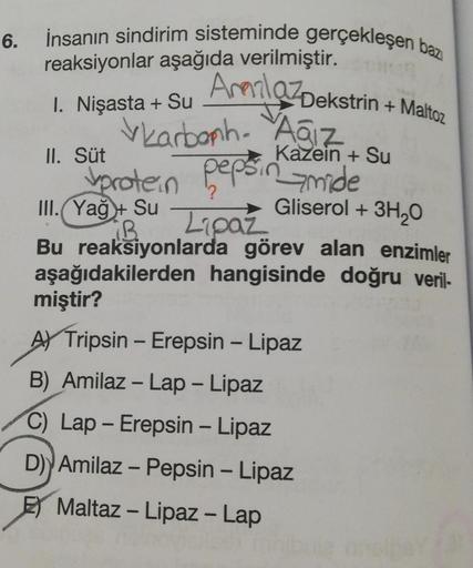 6.
İnsanın sindirim sisteminde gerçekleşen bazı
reaksiyonlar aşağıda verilmiştir.
Amala Dekstrin
1. Nişasta + Su Amalaz
karbonh. Ağız
II. Süt
Kazein + Su
protein pepsin mide
Lipaz
Dekstrin+Maltoz
Gliserol + 3H₂O
III. Yağ + Su
iB
Bu reaksiyonlarda görev ala
