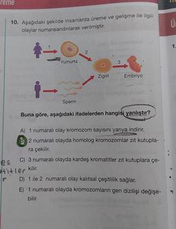 reme
10. Aşağıdaki şekilde insanlarda üreme ve gelişme ile ilgili
olaylar numaralandırılarak verilmiştir.
Yumurta
Sperm
2
Zigot
fie pasinsaal
3
Embriyo
Buna göre, aşağıdaki ifadelerden hangisi yanlıştır?
A) 1 numaralı olay kromozom sayısını yarıya indirir.
B 2 numaralı olayda homolog kromozomlar zıt kutupla-
ra çekilir.
C) 3 numaralı olayda kardeş kromatitler zıt kutuplara çe-
414ler kilir.
D) 1 ile 2 numaralı olay kalıtsal çeşitlilik sağlar.
E) 1 numaralı olayda kromozomların gen dizilişi değişe-
bilir.
Ü
1.